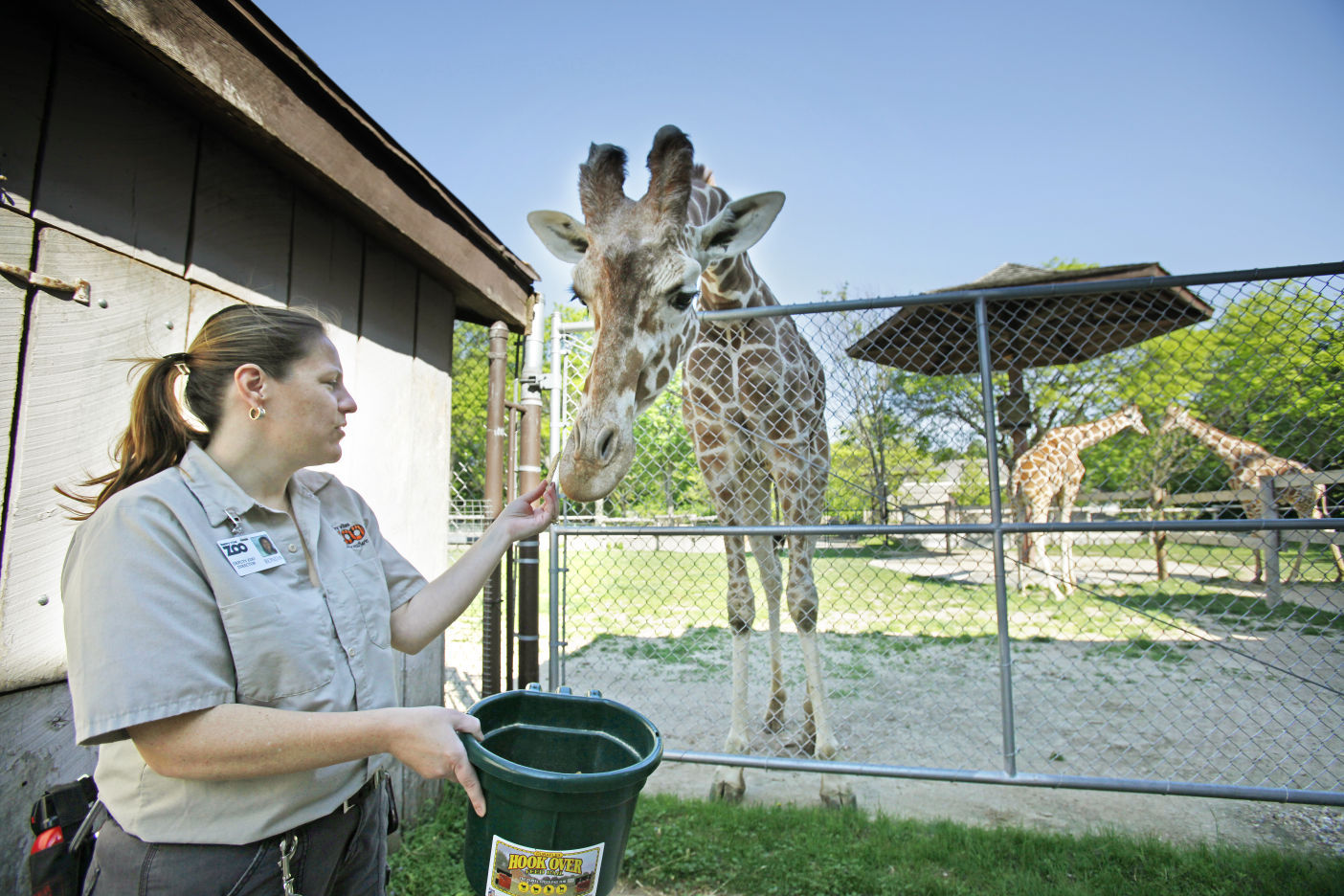 Zoo_031_MPK_20110601e